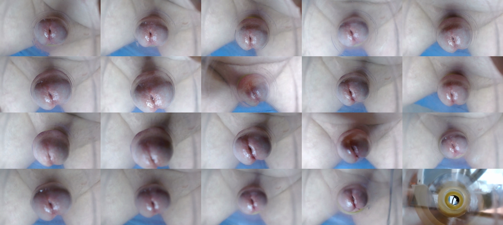 xxlecheroxx  11-11-2022
